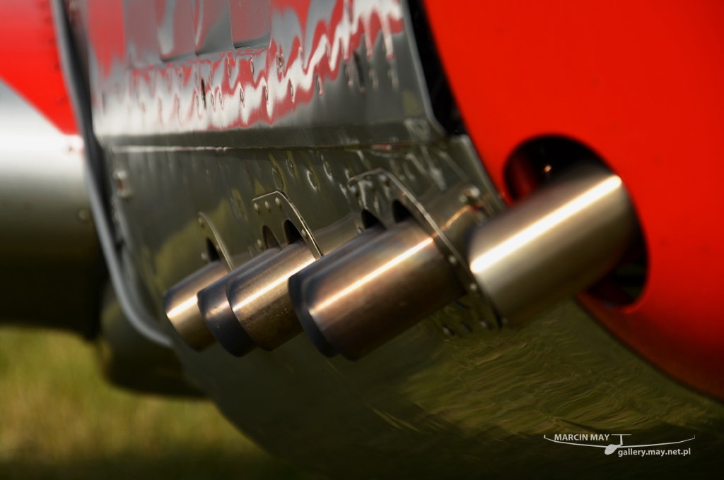 PiknikLeszno2013-zdj060-DSC_5930