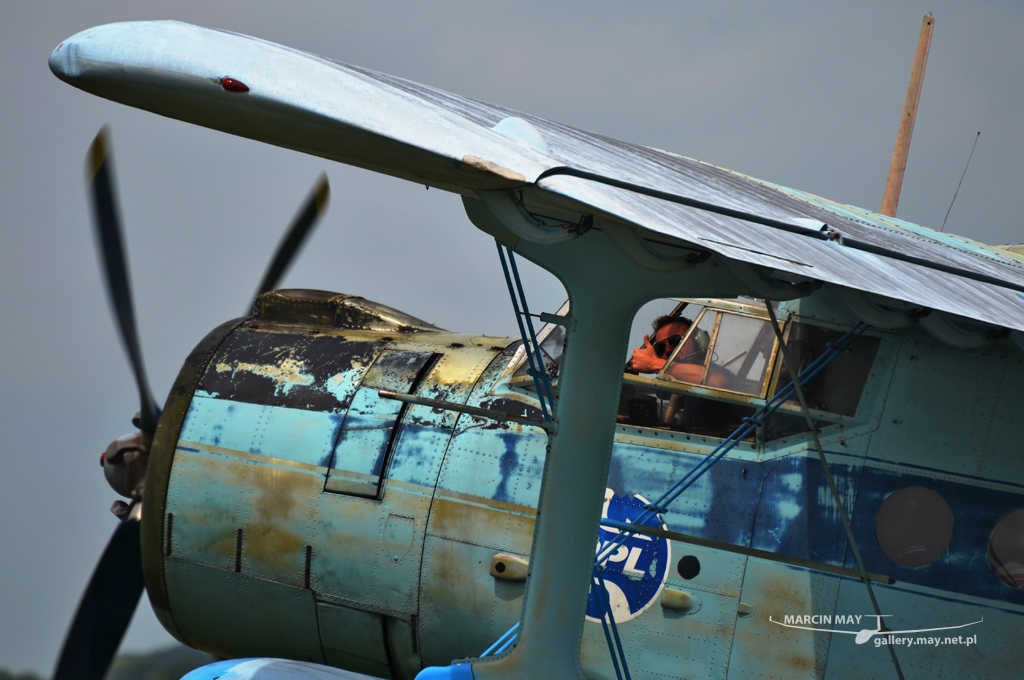 PiknikLeszno2013-zdj068-DSC_6234