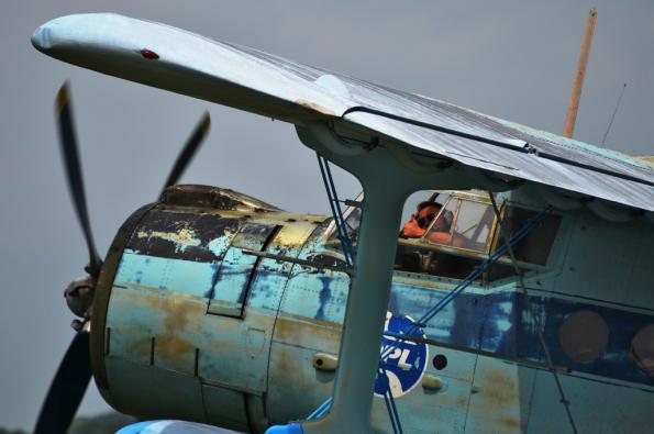 PiknikLeszno2013-zdj068-DSC_6234