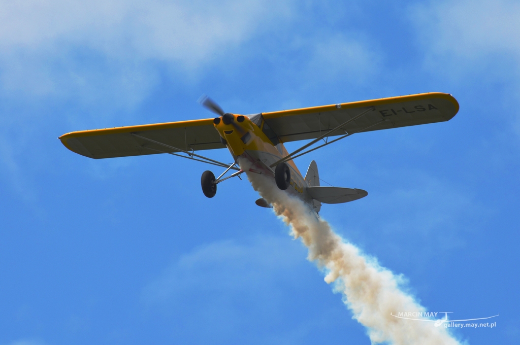 PiknikLeszno2013-zdj084-DSC_6978