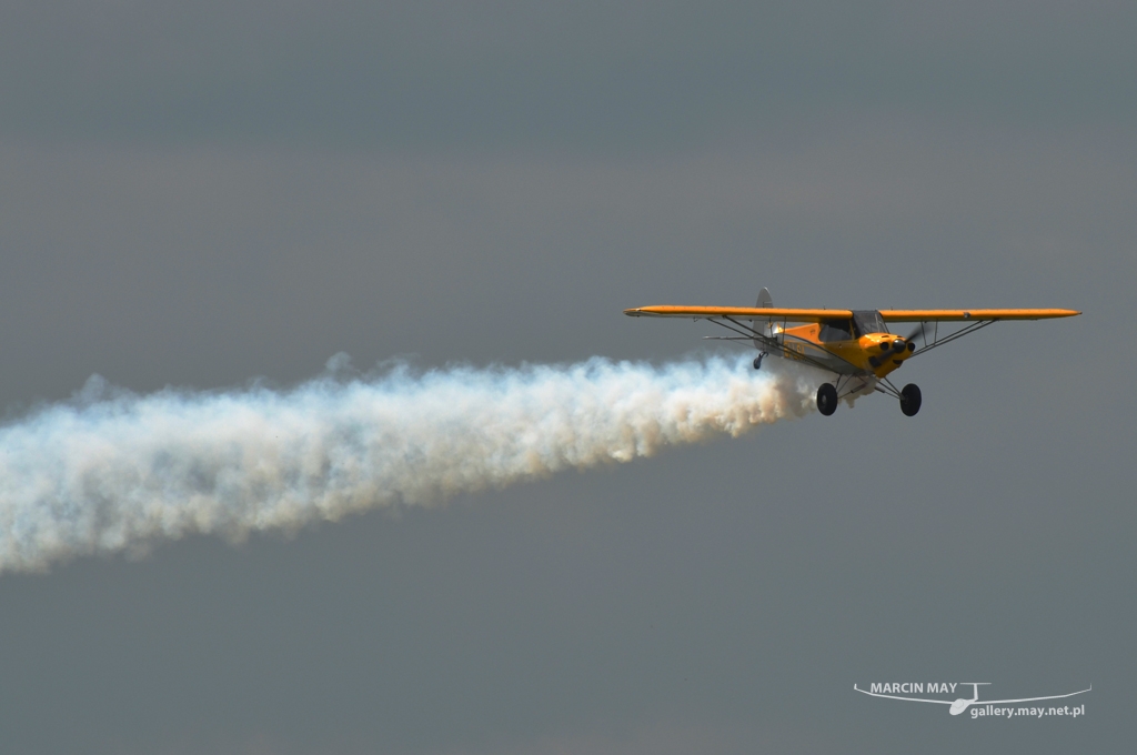 PiknikLeszno2013-zdj085-DSC_6991