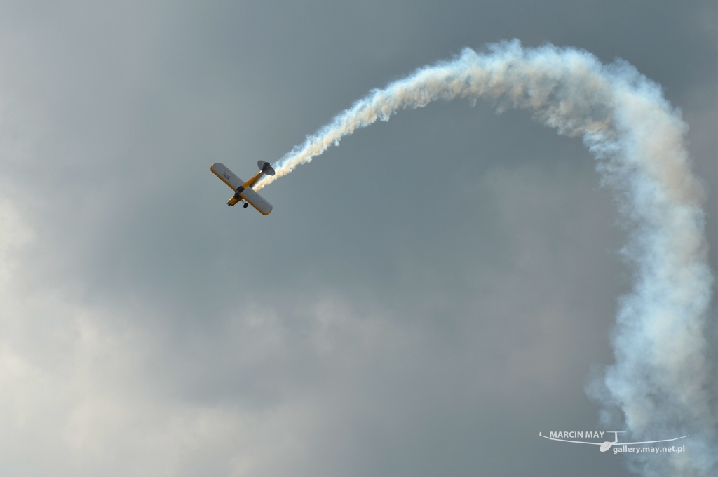 PiknikLeszno2013-zdj087-DSC_7093