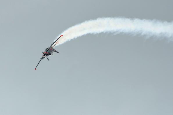 PiknikLeszno2013-zdj094-DSC_7425