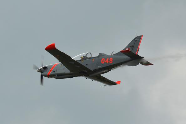 PiknikLeszno2013-zdj098-DSC_7674