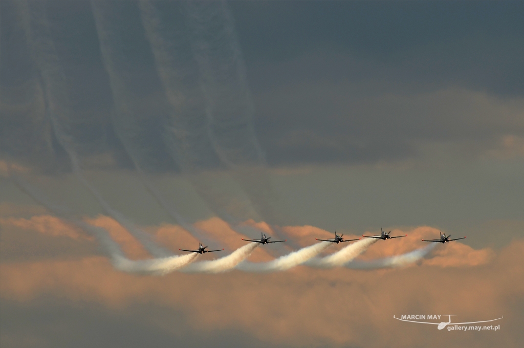 PiknikLeszno2013-zdj100-DSC_7718