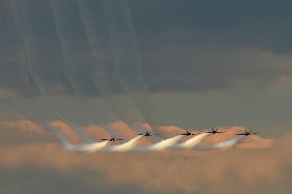 PiknikLeszno2013-zdj100-DSC_7718