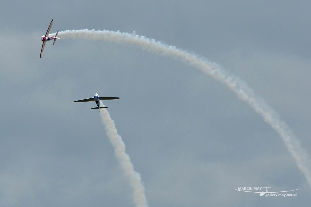 PiknikLeszno2013-zdj108-DSC_8668