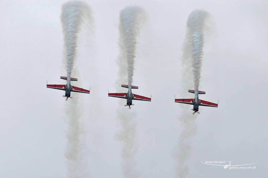 PiknikLeszno2013-zdj113-DSC_9328