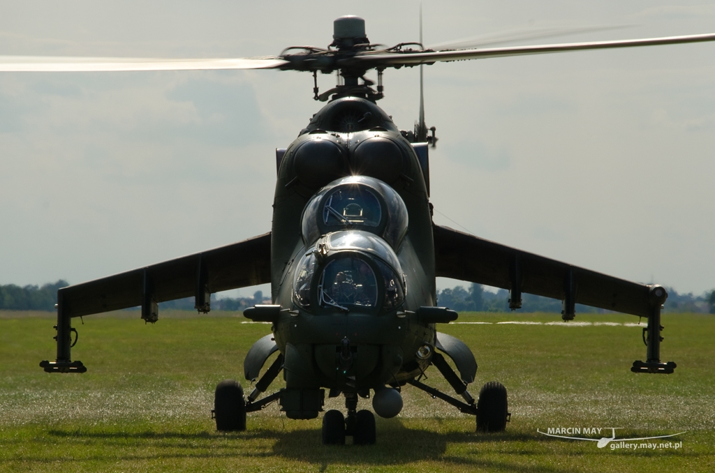 PiknikLeszno2014-zdj001-DSC_2944