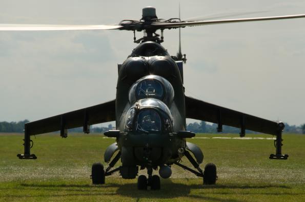 PiknikLeszno2014-zdj001-DSC_2944