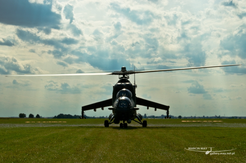 PiknikLeszno2014-zdj002-DSC_2949