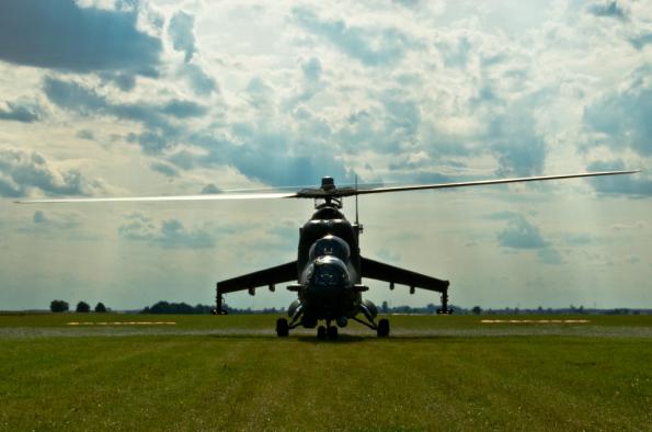 PiknikLeszno2014-zdj002-DSC_2949