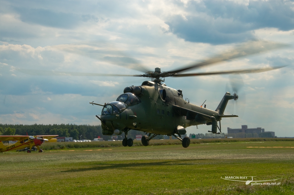 PiknikLeszno2014-zdj003-DSC_2955