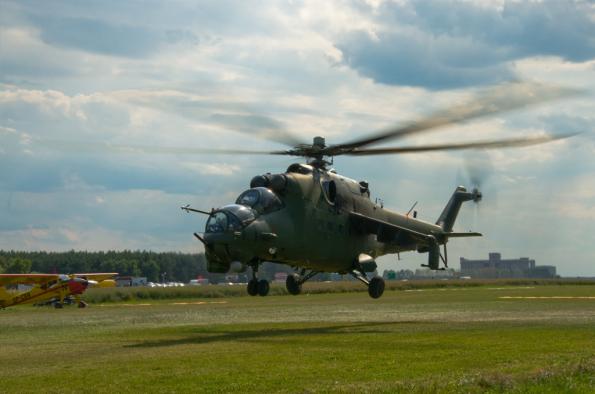 PiknikLeszno2014-zdj003-DSC_2955