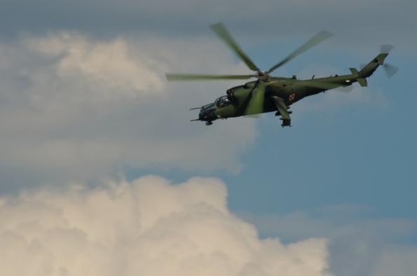 PiknikLeszno2014-zdj004-DSC_2997