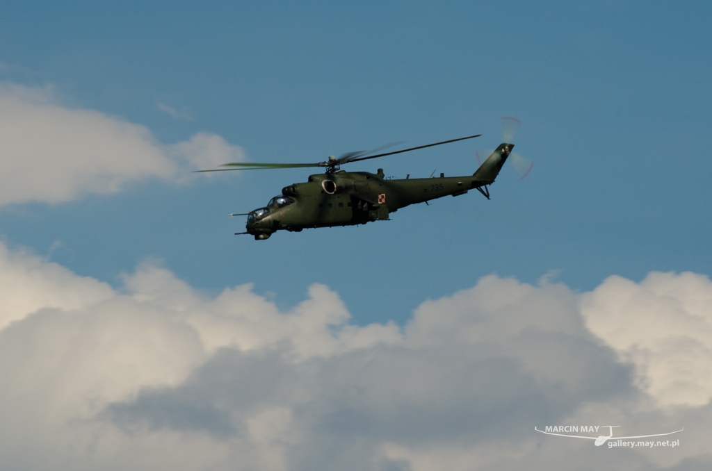 PiknikLeszno2014-zdj005-DSC_3000