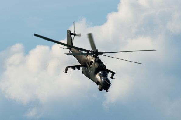 PiknikLeszno2014-zdj006-DSC_3032