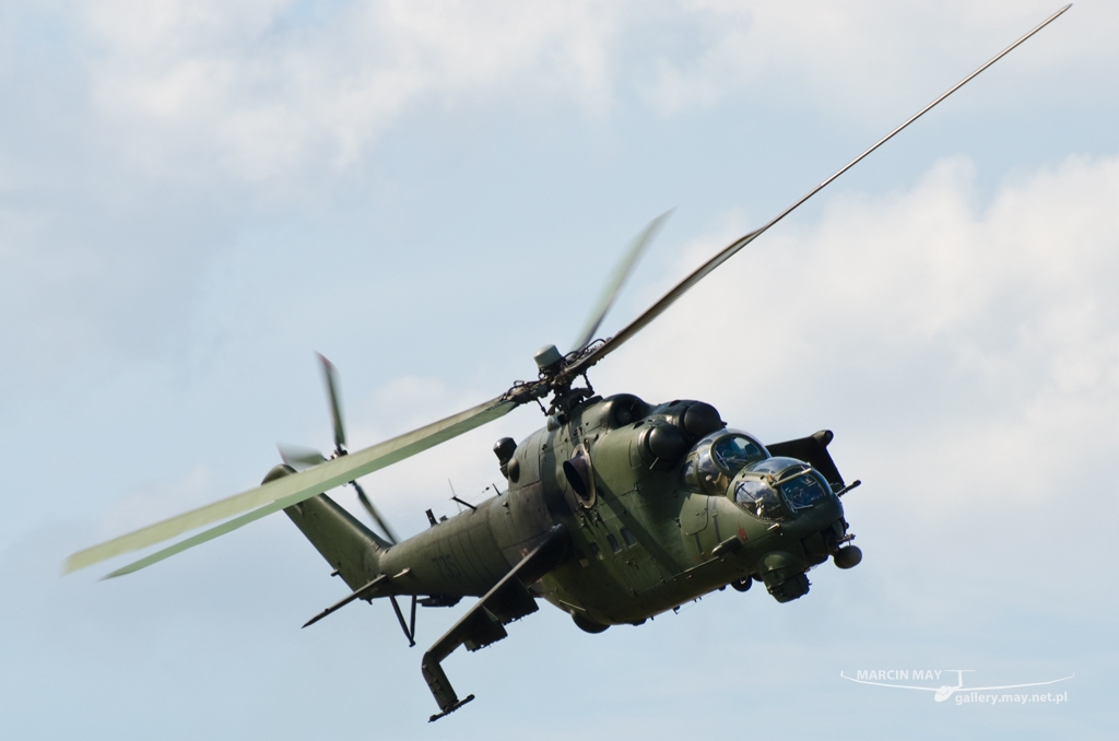 PiknikLeszno2014-zdj007-DSC_3038