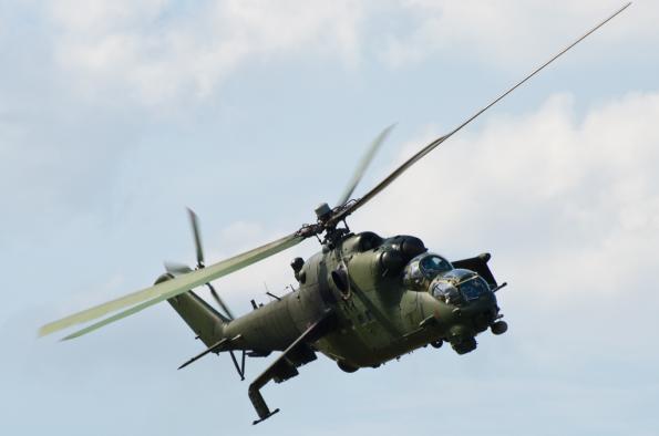 PiknikLeszno2014-zdj007-DSC_3038