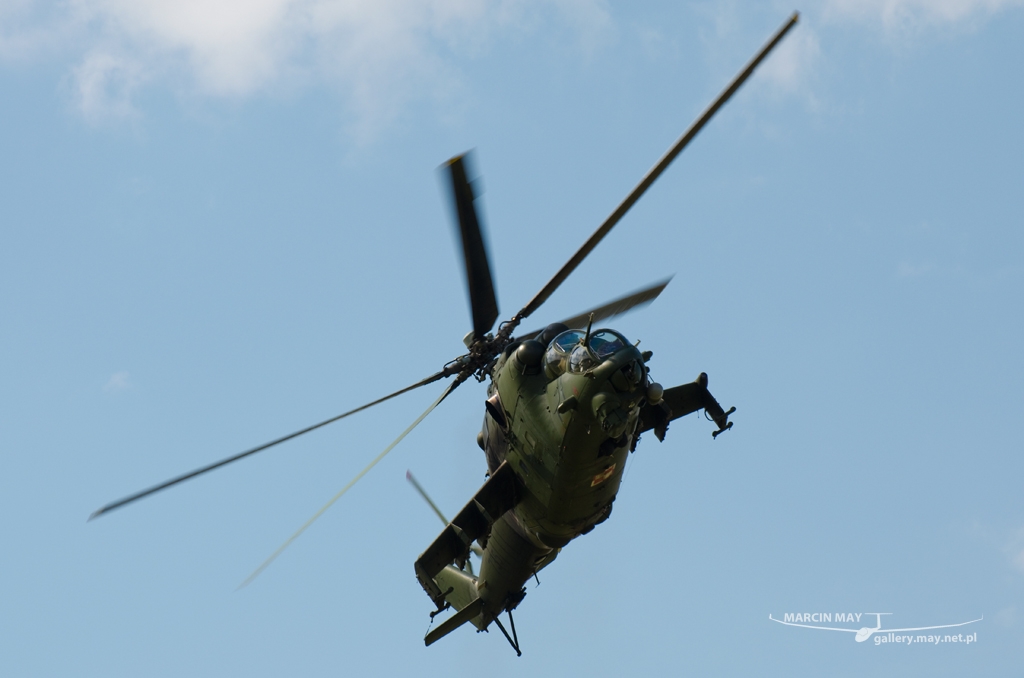 PiknikLeszno2014-zdj008-DSC_3043