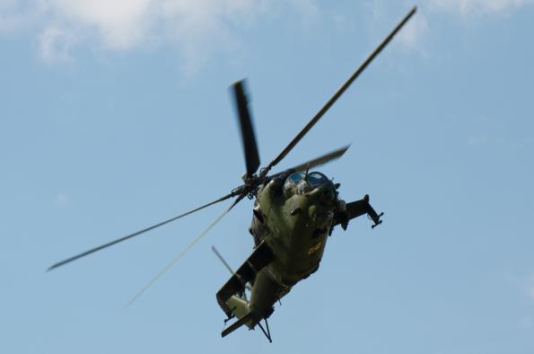 PiknikLeszno2014-zdj008-DSC_3043