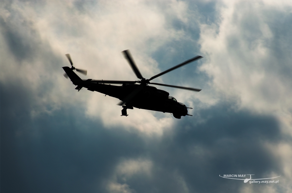 PiknikLeszno2014-zdj009-DSC_3260