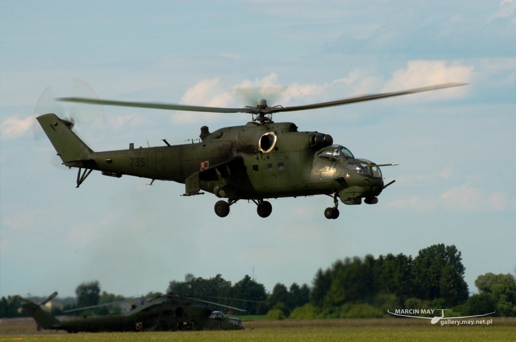 PiknikLeszno2014-zdj010-DSC_3314