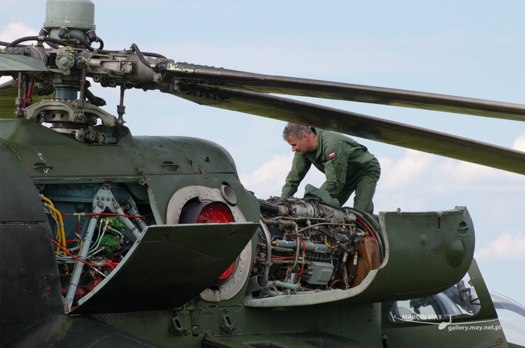 PiknikLeszno2014-zdj011-DSC_3345