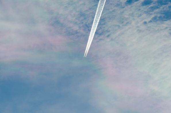 PiknikLeszno2014-zdj014-DSC_3433