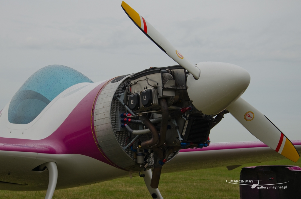 PiknikLeszno2014-zdj023-DSC_3570