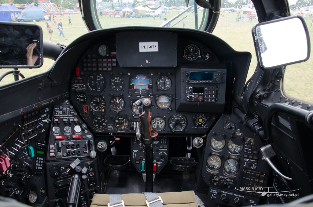 PiknikLeszno2014-zdj024-DSC_3592