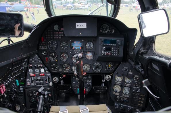 PiknikLeszno2014-zdj024-DSC_3592