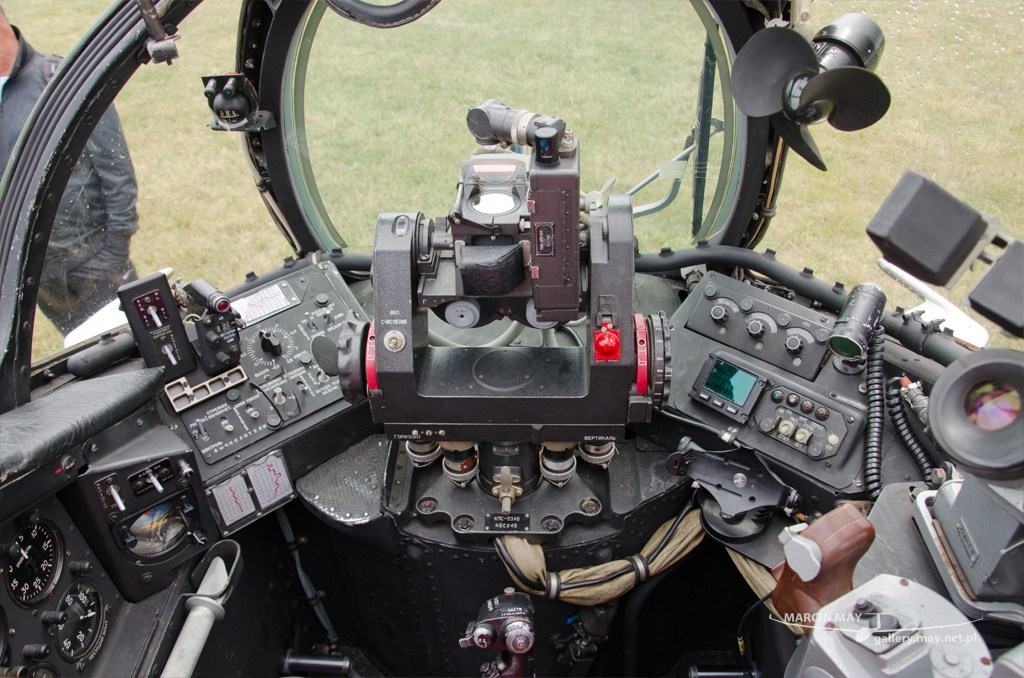 PiknikLeszno2014-zdj025-DSC_3595