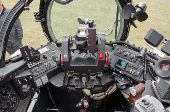 PiknikLeszno2014-zdj025-DSC_3595