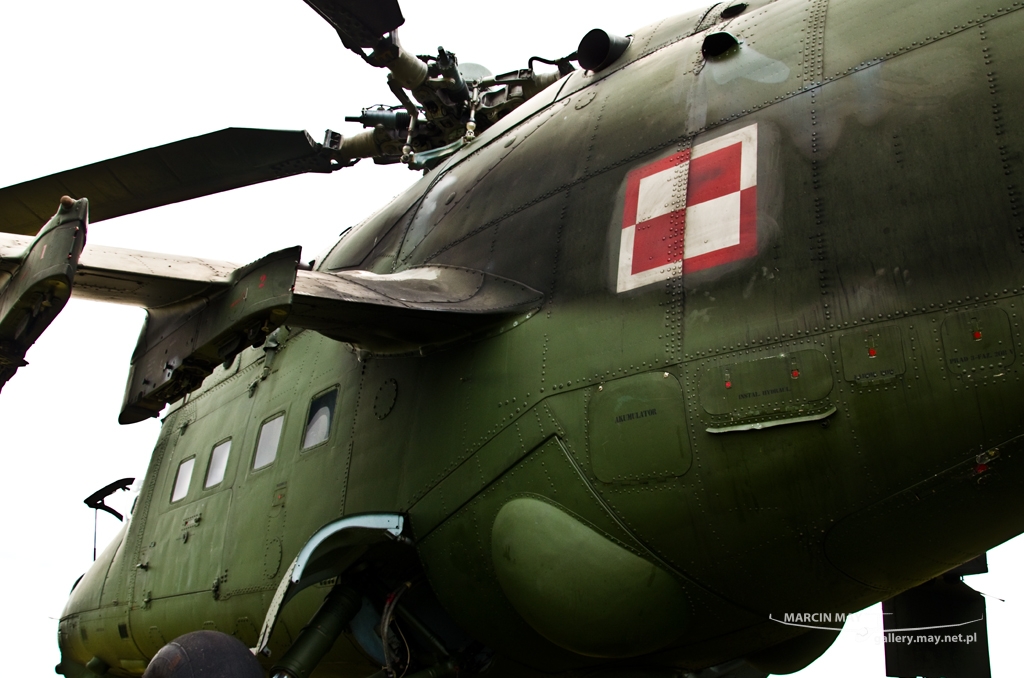 PiknikLeszno2014-zdj026-DSC_3615