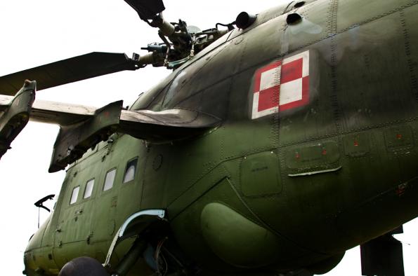 PiknikLeszno2014-zdj026-DSC_3615