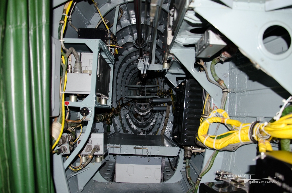 PiknikLeszno2014-zdj027-DSC_3617