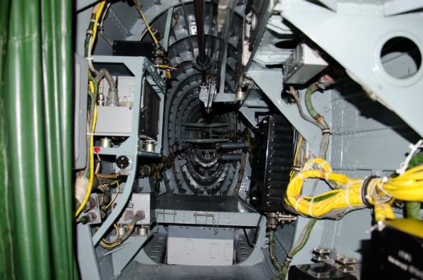 PiknikLeszno2014-zdj027-DSC_3617