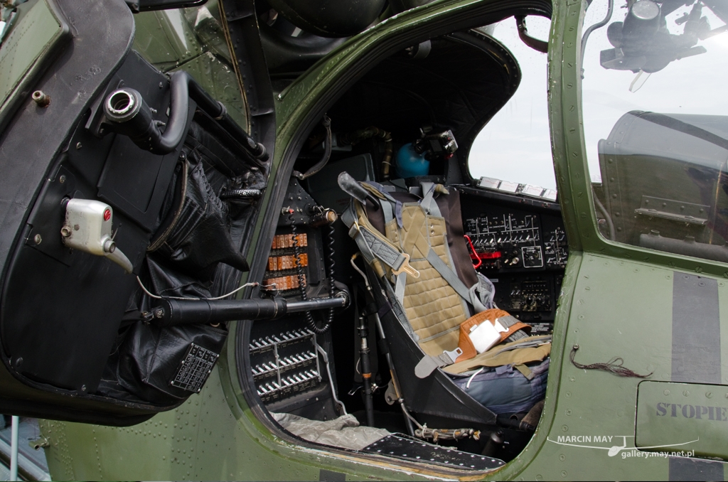 PiknikLeszno2014-zdj028-DSC_3621