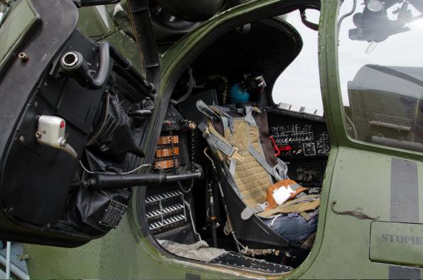 PiknikLeszno2014-zdj028-DSC_3621