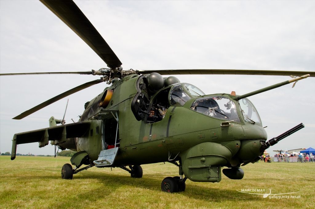 PiknikLeszno2014-zdj029-DSC_3628