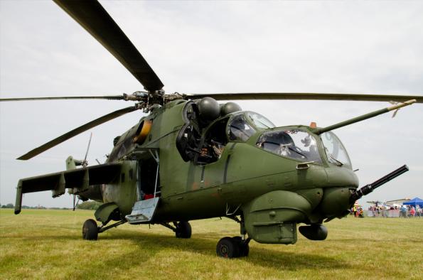 PiknikLeszno2014-zdj029-DSC_3628