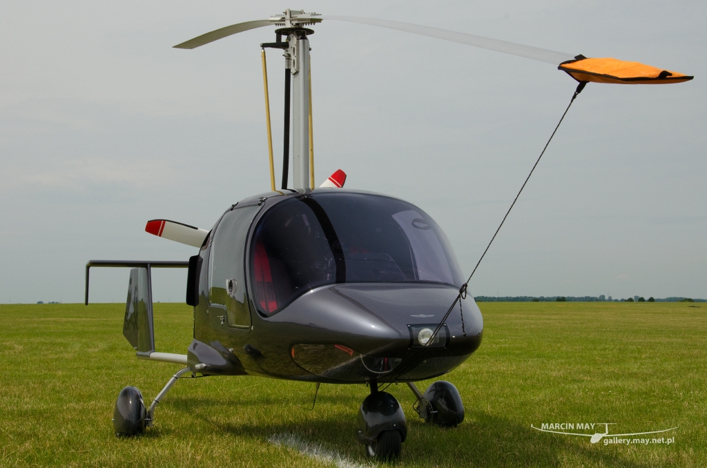 PiknikLeszno2014-zdj030-DSC_3638