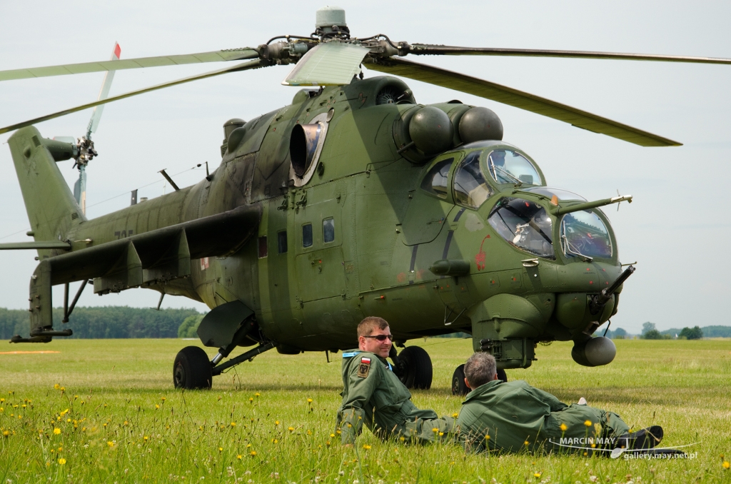 PiknikLeszno2014-zdj034-DSC_3664