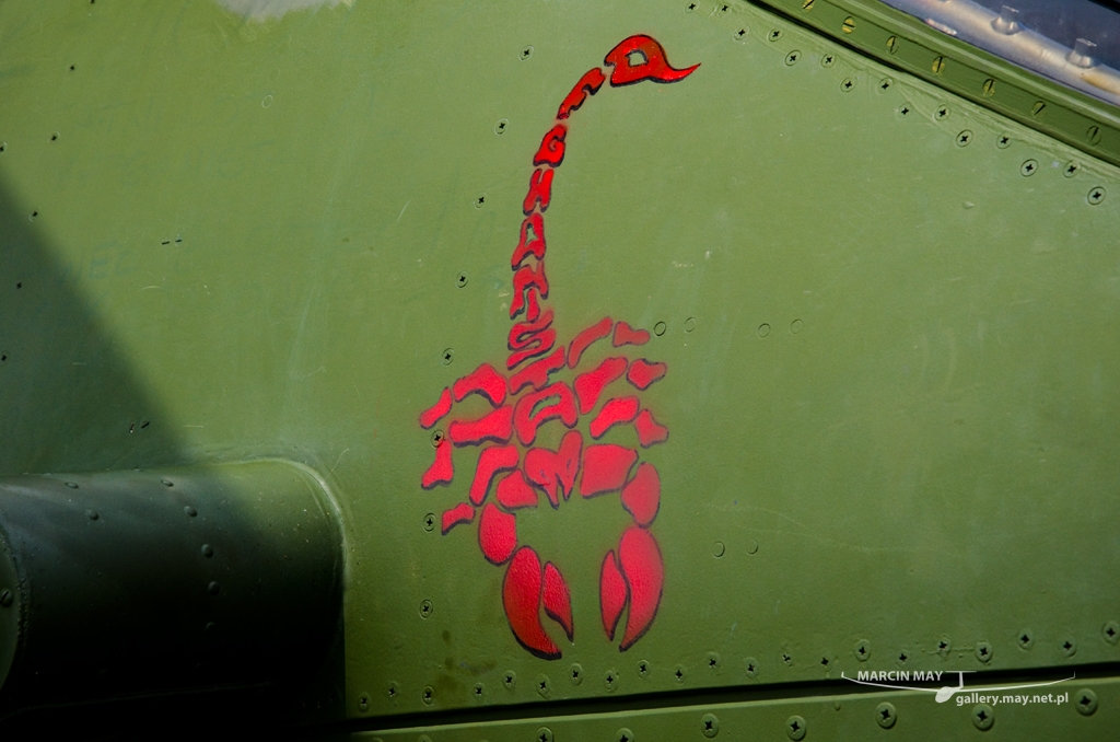 PiknikLeszno2014-zdj035-DSC_3666