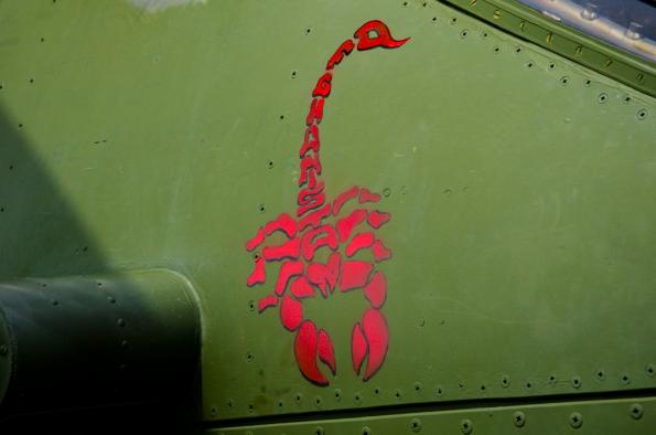 PiknikLeszno2014-zdj035-DSC_3666