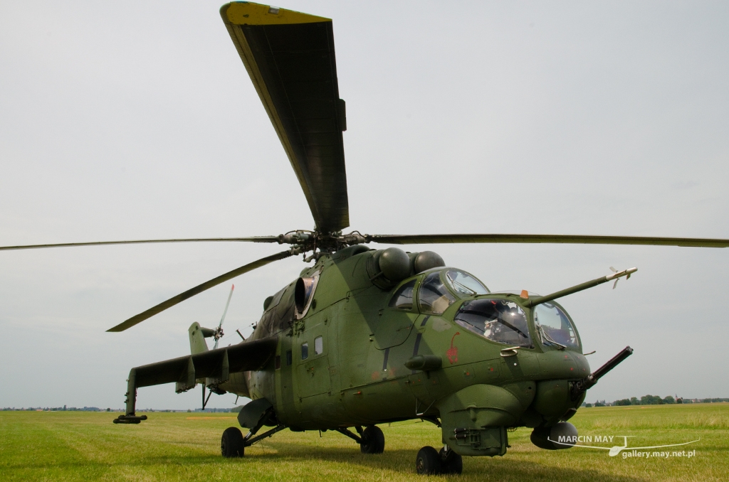 PiknikLeszno2014-zdj036-DSC_3667