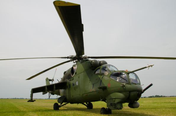 PiknikLeszno2014-zdj036-DSC_3667