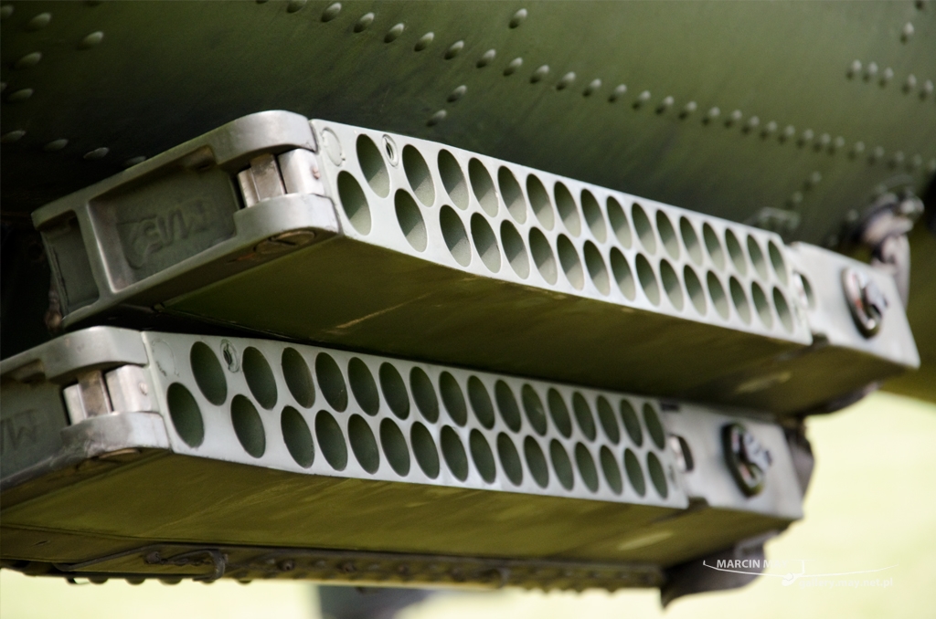 PiknikLeszno2014-zdj037-DSC_3674