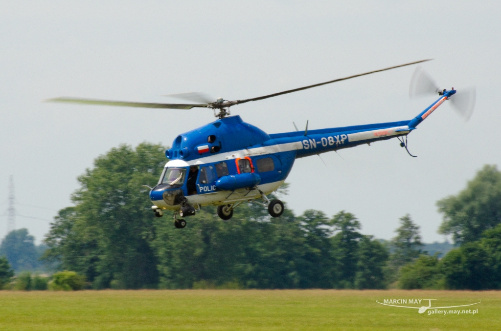 PiknikLeszno2014-zdj043-DSC_3936